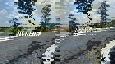 Bán 12.253m2 đất Bông Văn Dĩa, Tân Kiên, Bình Chánh, TPHCM