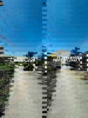 Bán 3000m2 mt đường nhựa- thích hợp đầu tư hoặc làm kho bãi