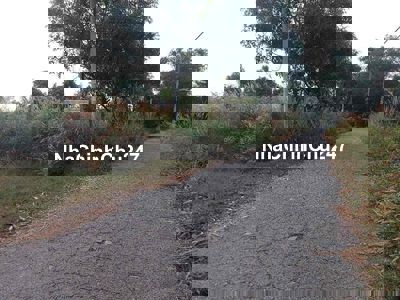 Đất vườn(1331m),nở hậu,đường nhựa,Tân Thạnh Tây,Củ Chi