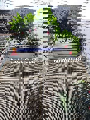 Chính chủ bán nhà 2 tầng-31m2 - Lạc Long Quân - Tặng nội thất - 3,X tỷ