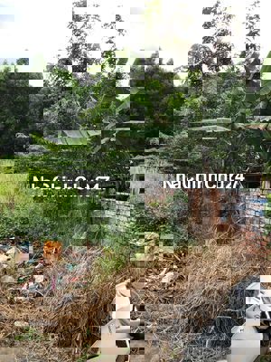 bán đất Trảng dài