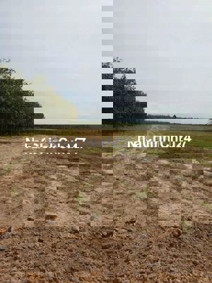 BÁN GẤP 1HA ĐẤT NÔNG NGHIỆP – CHÂU THÀNH, TÂY NINH – GIÁ CHỈ 8XX TRIỆU