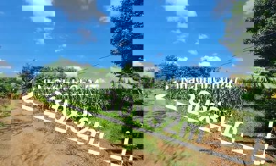 Lô hẻm cấp 1 Tỉnh Lộ 5 - 30x32m. 590tr