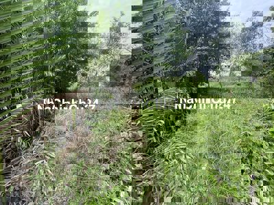 Bán mãnh 3000m2 đất lua nước-gần Cao Tốc.đầu tư đón đầu cầu Đồng 2