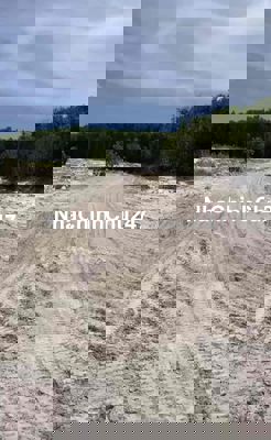 Đất mẫu sau khu công nghiệp Tân Bình, Lagi, Bình Thuận