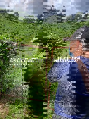 Đất sổ đỏ 4392m2 - Xã La Dạ, huyền Hàm Thuận Bắc, tỉnh Bình Thuận