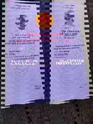 Bán Đất Lúa Tân Hưng-Long An