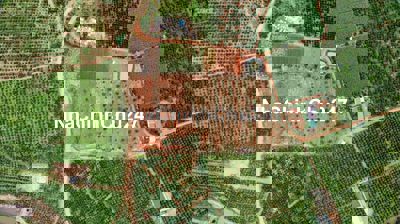 🏞️Cần bán 12206m2 Đất tại xã Mê Linh-Lâm Hà -Lâm Đồng!