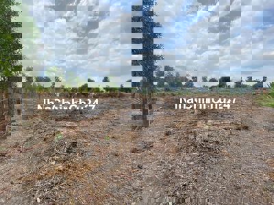 Đất xuân hưng 4600 m2