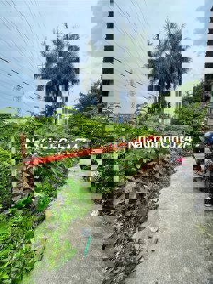 BÁN MẢNH ĐÁT CỰC ĐẸP TẠI KẺ VẼ- NAM TỪ LIÊM: 96M/ mt 5M/ GIÁ CHỈ 2 TỶ