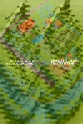 BÁN LÔ ĐẤT VƯỜN VIEW SÔNG ĐẸP NHẤT TRẢNG BÀNG – CHỈ CÁCH CỦ CHI 20KM