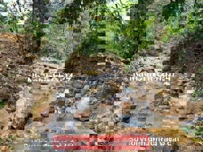 ĐẤT TP BẢO LỘC 1600M2, NGANG 26M, VIEW SĂN MÂY, HOMESTAY, GIÁ NGỢP.