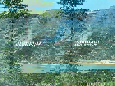 Cần bán 1,3 sào đất rẻ nhất Bảo Lộc