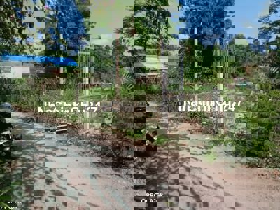 Lô đất sổ hồng đất trồng cây hàng năm khu đinh liệt