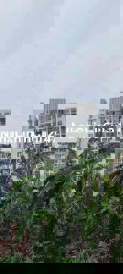 BÁN ĐẤT KHỦNG 4365M2, ĐƯỜNG THẠNH XUÂN 14, QUẬN 12 - CHỈ 39.9 TỶ