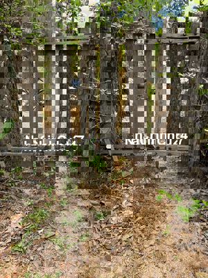 Gia đình cần bán 2,1ha đất nông nghiệp CLN tại Thuận Nam - Ninh Thuận