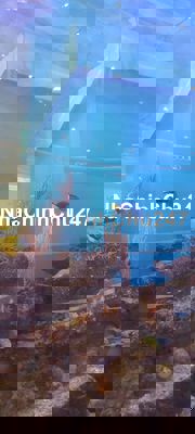 Đất trồng cây Phạm Hữu lầu Quận 7