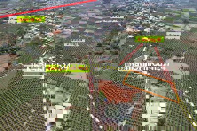 2 MẶT TIỀN 839TR với 1875 M2 CHỢ HỢP 5, HÀM ĐỨC, 800m cách QL 1A