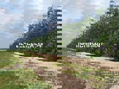 Cần bán 30000m2 đất trồng cao su Tây Ninh. Giá 7.5 tỷ