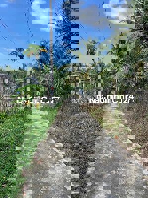 4 nền đất xã Phước Thạnh gần chợ Trung An 700m