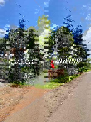 Đất Bình Lộc Long Khánh