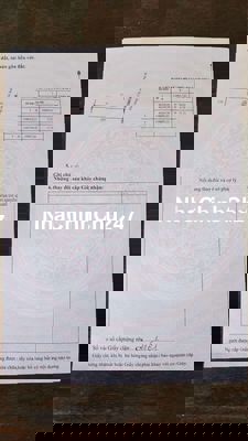 Cần bán 900mv đất lúa Long Phụng, Cần Giuộc