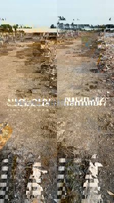 Bán Đất 10x30m=300m2 Kênh Trung Ương Vĩnh Lộc B