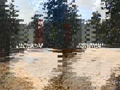 cắt lỗ Lô đất vườn Xuân Đông cẩm Mỹ Đồng Nai