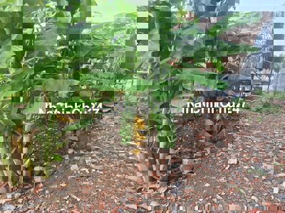 HẺM XH ĐẤT NN CÓ SỔ 10×40M HIỆN TRẠNG CÓ MÁI LÁ 50M² ĐIỆN NƯỚC ĐẦY ĐỦ