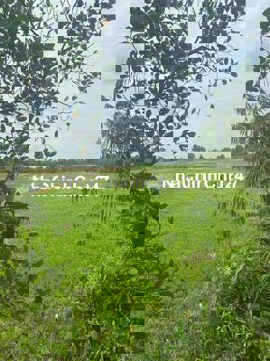 BÁN ĐẤT XÃ TÂN HIỆP, HOOCMON KV CẦU XÁNG CHỈ 5TR/M2