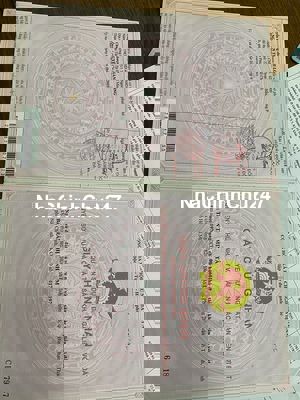 Bán Đất MT dg Bà Xán, Cần Giờ; Tp.HCM