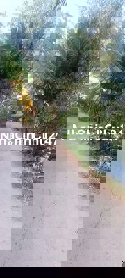 Cần bán đất vườn cây lâu năm