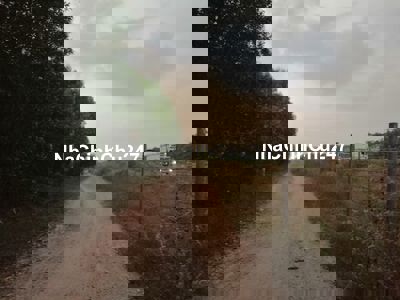 Bán 4,7 sào đất sát cao tốc Long Thành - Dầu Dây kv sân bay