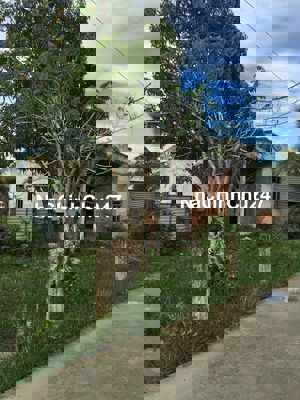 đất giấy tay 150m2 ham liem