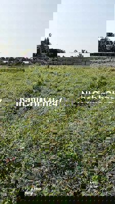 Bán nền gần công đất