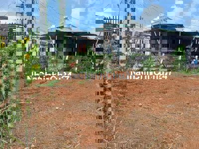 BÁN ĐẤT NÔNG NGHIỆP  XÃ LÂM.SAN , HUYỆN CẨM MỸ, TỈNH  ĐỐNG NAI