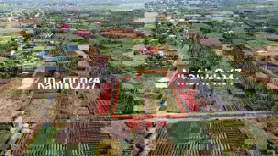 4,1 Sào Đất hẻm Cấp Quốc Lộ 14. Ngay gần Chợ Đoàn Kết