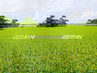 Em cần vốn để kinh doanh nên bán nhanh