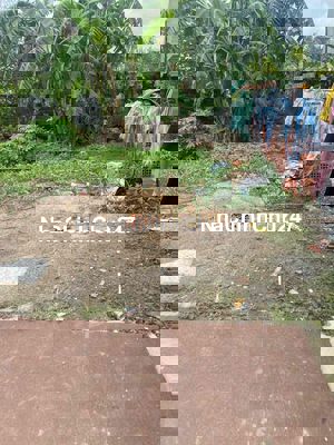 Cần bán đất Đồng Nai gấp