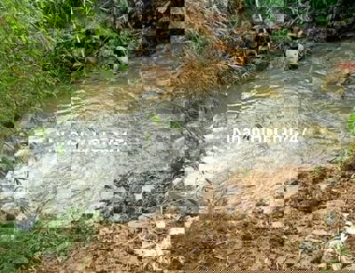 🌿 BÁN ĐẤT VƯỜN GIÁP SUỐI GIÁ RẺ CHỈ 285 TRIỆU/1000M2, TẠI ĐỊNH QUÁN 🌿