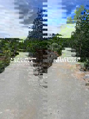 Thôn 5, 3050m diên đồng, Diên Khánh, tỉnh Khánh Hòa