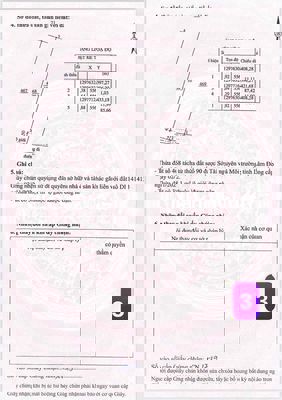 ĐẤT SÀO TÂN HỘI - ĐỨC TRỌNG - LÂM ĐỒNG CHỈ 890 TRIỆU