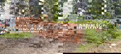 Bán đắt trồng cây lâu năm 4*15