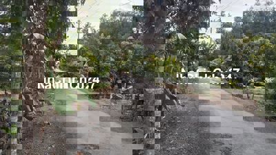 Đất vườn dt 1740m2 ở tl 925b hậu giang