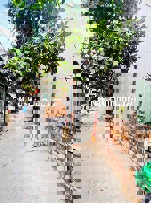 Đất rẻ nhất q12 Chủ gửi Bán Lô đất nông nghiệp DT: 4x12 = 48m2.