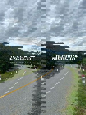 Đất nông nghiệp hàng năm khác