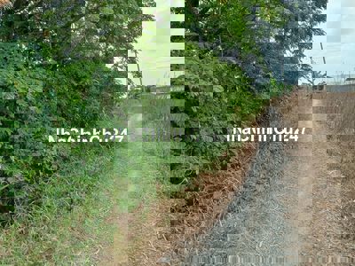 Bán 1 công đất mặt tiền đường nông thôn