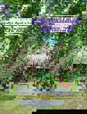 Cần nhượng nhà vườn 5420m² giá 495tr