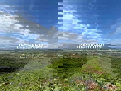 700 triệu/ha đất làm trang trại Ninh Sơn, Ninh Hoà, Khánh Hoà