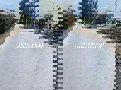 1500m2 đg ô tô tải ngay đất, đang trồng chanh thu hoạch